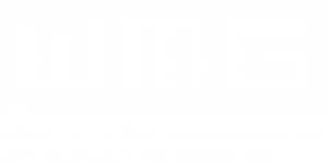Logo WMG Wolfsburg
